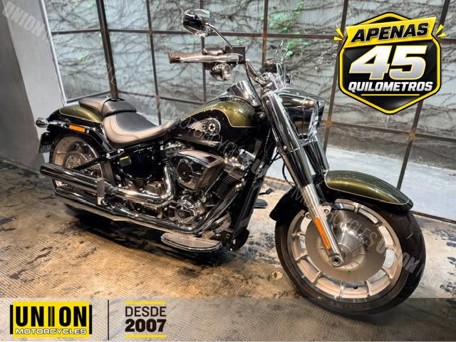 HARLEY-DAVIDSON FAT BOY 117 - Imagem 1