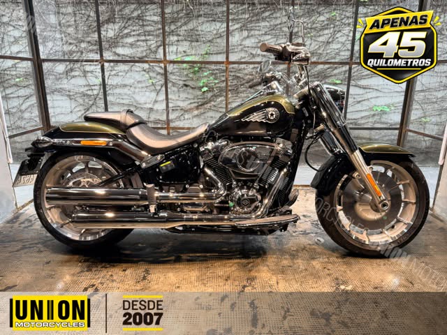 HARLEY-DAVIDSON FAT BOY 117 - Imagem 2