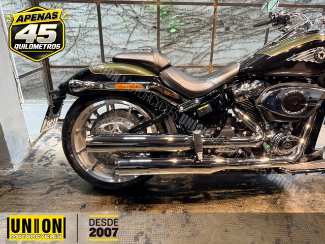 HARLEY-DAVIDSON FAT BOY 117 - Imagem 4