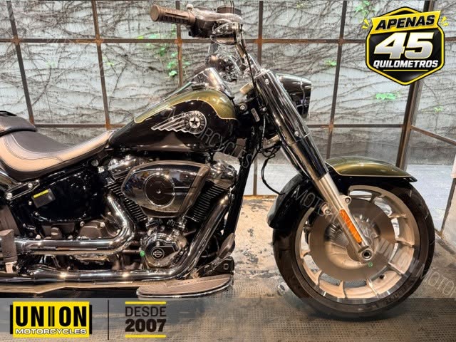 HARLEY-DAVIDSON FAT BOY 117 - Imagem 5