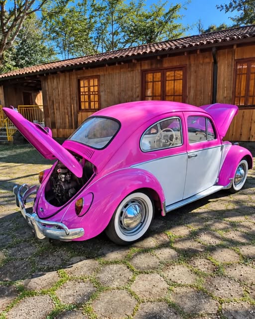 VOLKSWAGEN FUSCA - Imagem 3