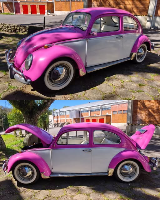 VOLKSWAGEN FUSCA - Imagem 5