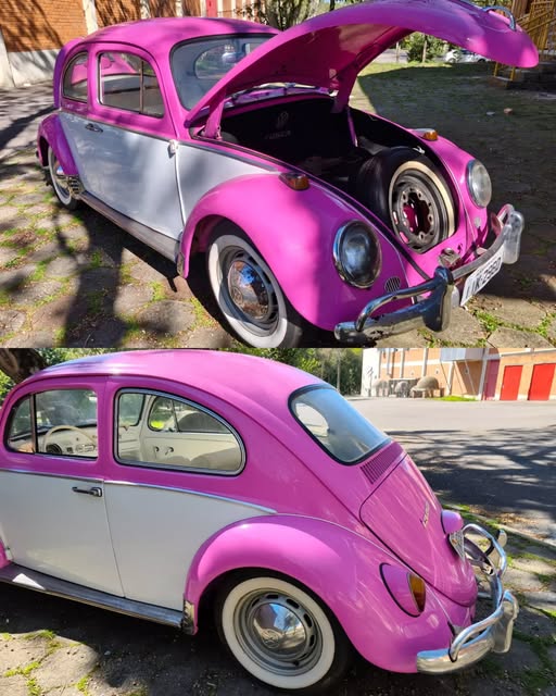 VOLKSWAGEN FUSCA - Imagem 6