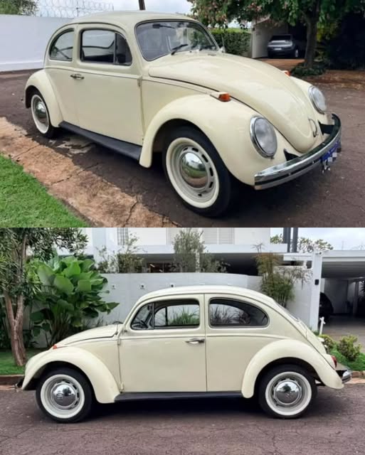 VOLKSWAGEN FUSCA - Imagem 7