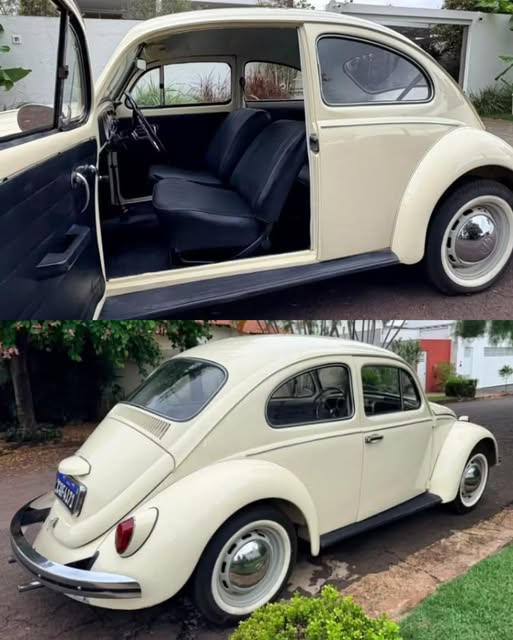 VOLKSWAGEN FUSCA - Imagem 10