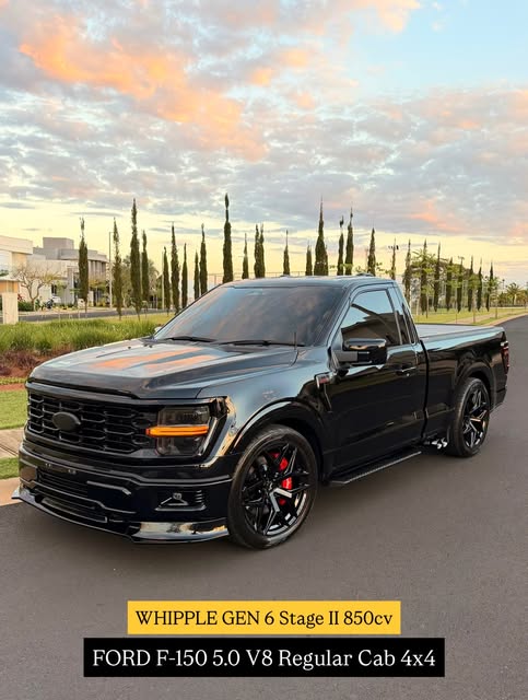 FORD F-150 - Imagem 1