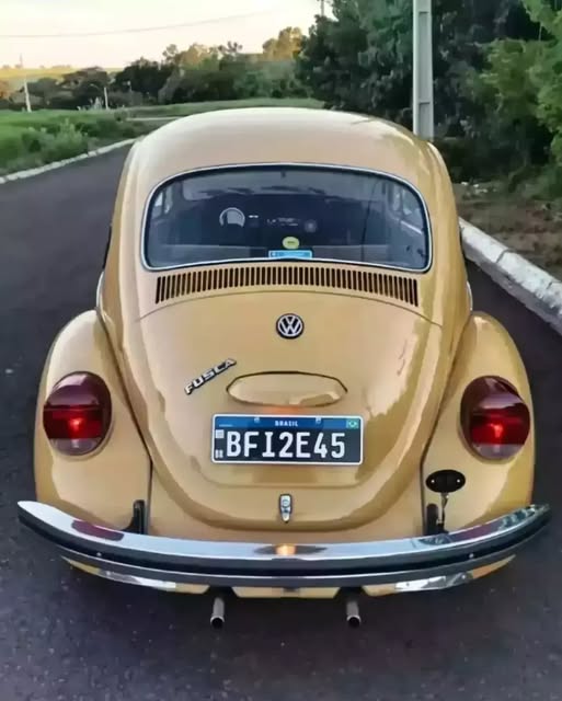 VOLKSWAGEN FUSCA - Imagem 6