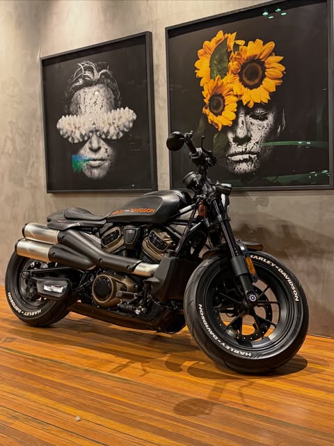 HARLEY-DAVIDSON SPORTSTER - Imagem 1