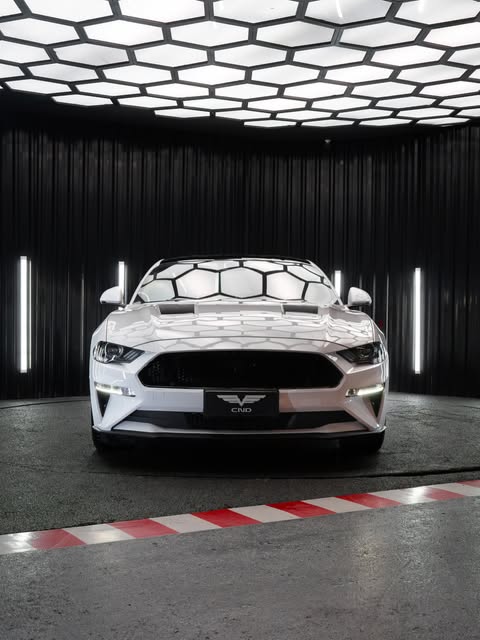 FORD MUSTANG - Imagem 15