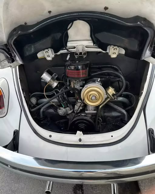 VOLKSWAGEN FUSCA - Imagem 19