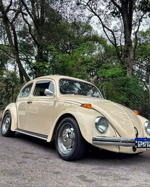 VOLKSWAGEN FUSCA - Imagem 7
