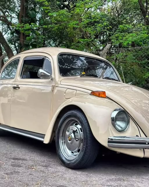 VOLKSWAGEN FUSCA - Imagem 10