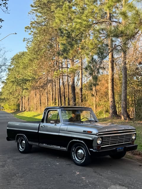 FORD F-100 - Imagem 3