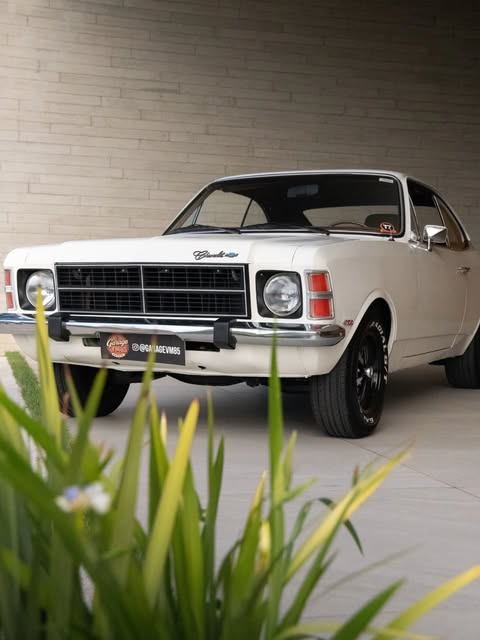 GM OPALA STANDARD - Imagem 2