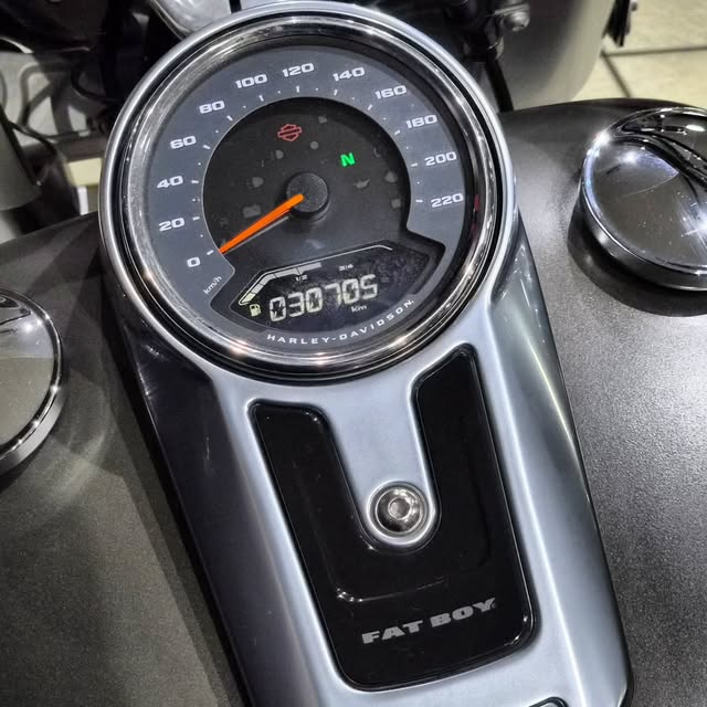 HARLEY-DAVIDSON FAT BOY - Imagem 4