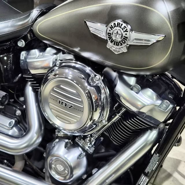 HARLEY-DAVIDSON FAT BOY - Imagem 5