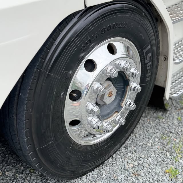 SCANIA 113H - Imagem 8