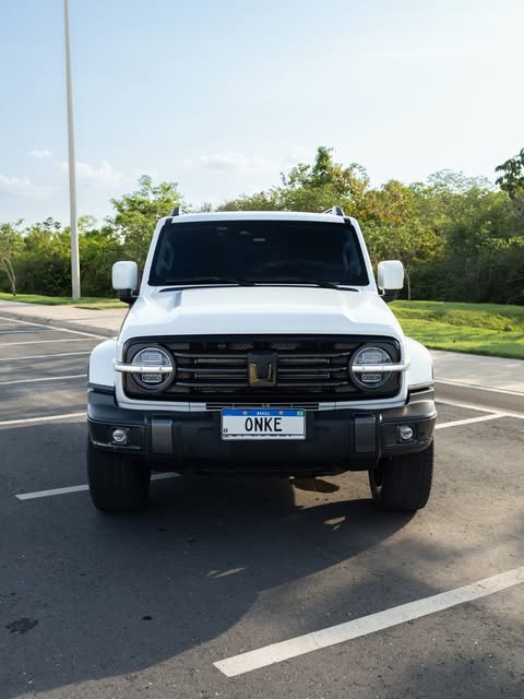 GWM TANK 300 - Imagem 3