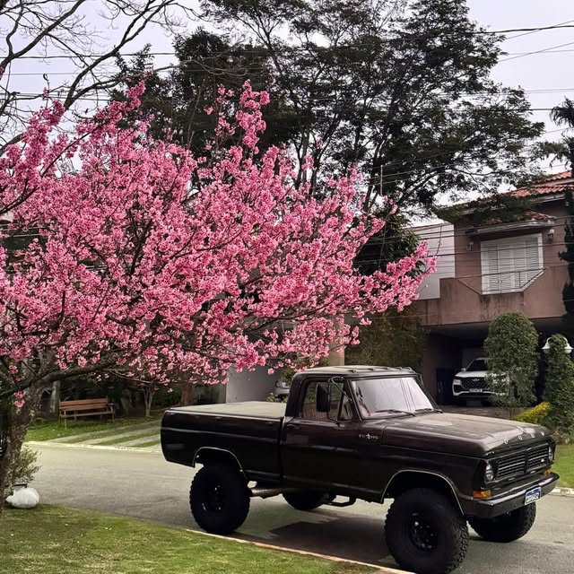 FORD F-1000 - Imagem 6