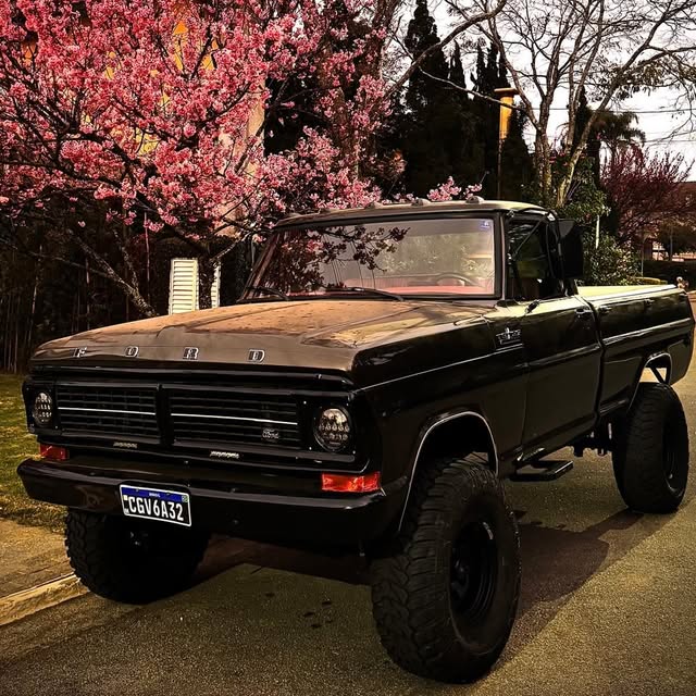 FORD F-1000 - Imagem 7