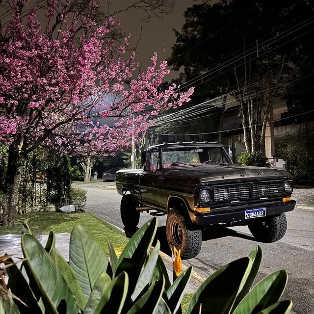 FORD F-1000 - Imagem 8