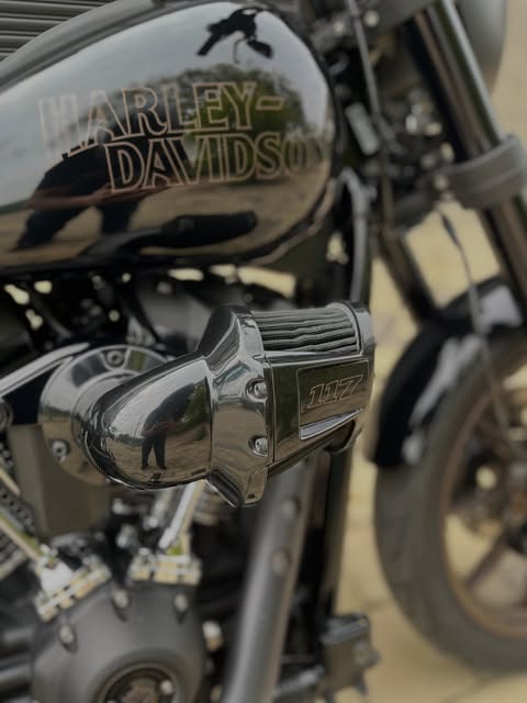HARLEY-DAVIDSON LOW RIDER S - Imagem 8