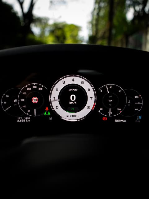 PORSCHE 911 CARRERA GTS - Imagem 20