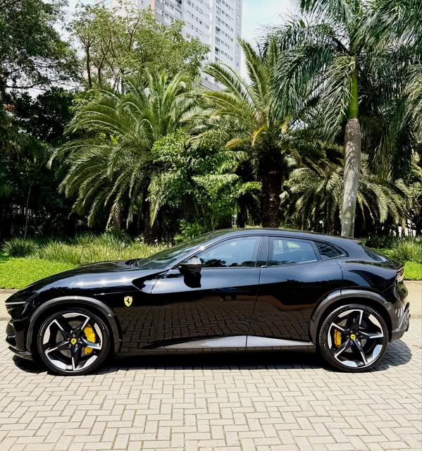 FERRARI PUROSANGUE - Imagem 11
