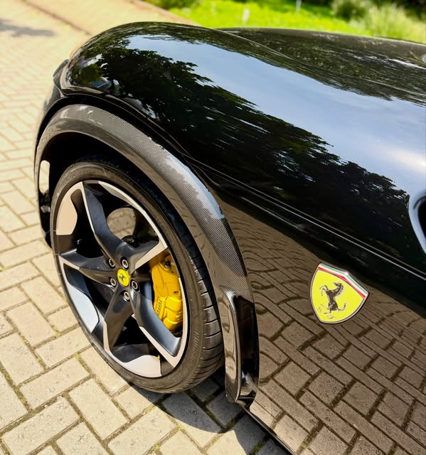 FERRARI PUROSANGUE - Imagem 12