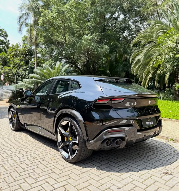 FERRARI PUROSANGUE - Imagem 10