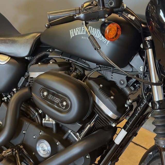 HARLEY-DAVIDSON XL 883N - Imagem 5