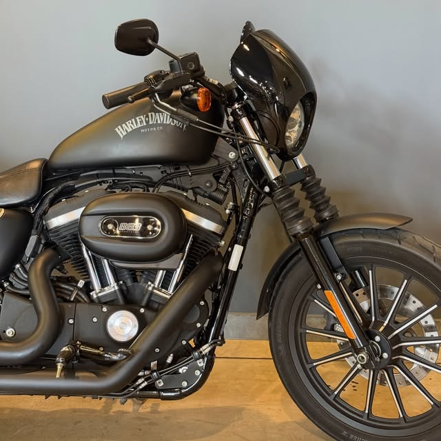 HARLEY-DAVIDSON XL 883N - Imagem 10