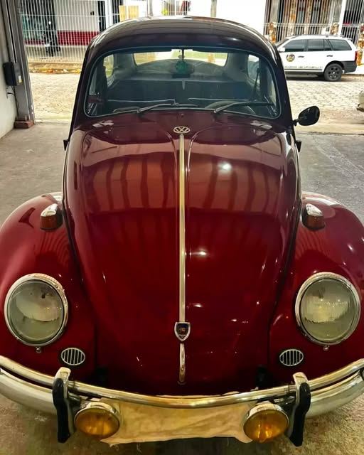 VOLKSWAGEN FUSCA - Imagem 10