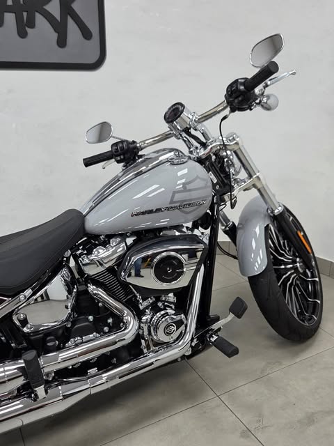 HARLEY-DAVIDSON SOFTAIL BREAKOUT - Imagem 5