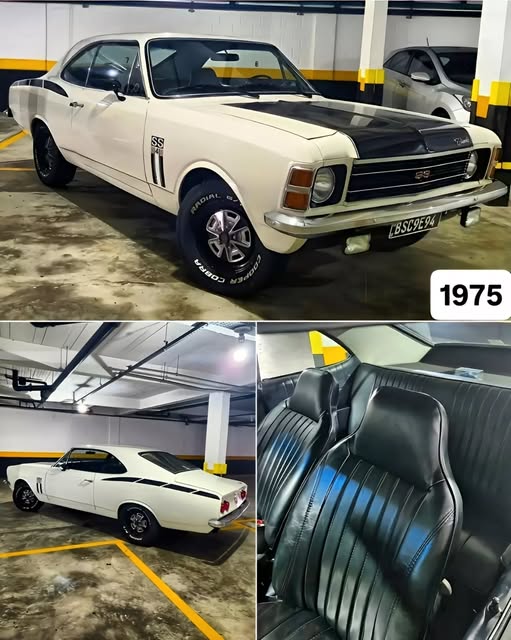 CHEVROLET OPALA SS4 - Imagem 1