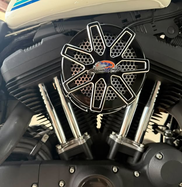 HARLEY-DAVIDSON XL 1200 NS - Imagem 10