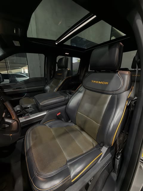 FORD F-150 TREMOR - Imagem 14