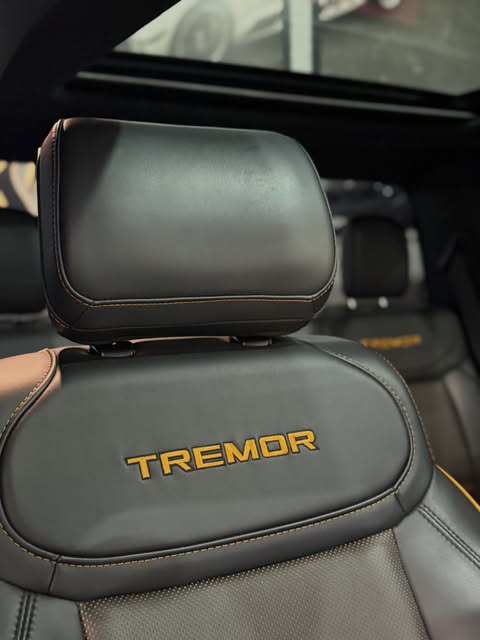 FORD F-150 TREMOR - Imagem 10