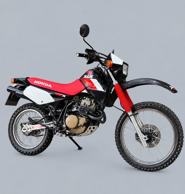 HONDA XLX 350R - Imagem 1