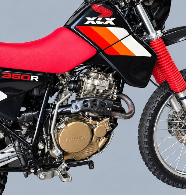 HONDA XLX 350R - Imagem 3