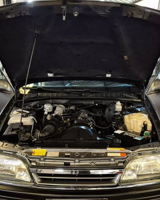 CHEVROLET OMEGA GLS - Imagem 14
