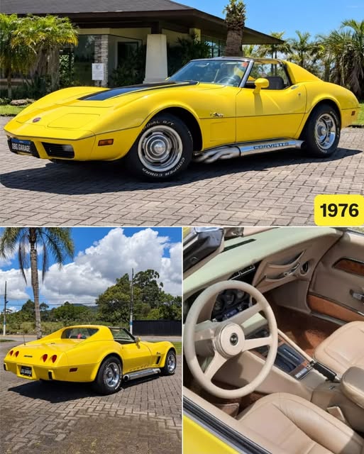 CHEVROLET CORVETTE STINGRAY - Imagem 1