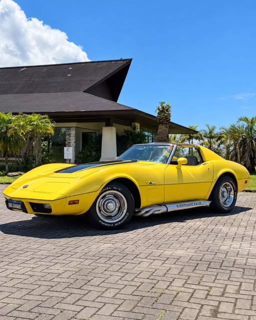 CHEVROLET CORVETTE STINGRAY - Imagem 2