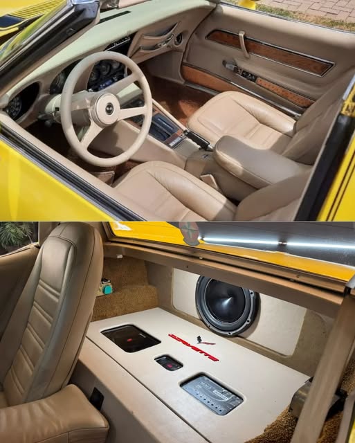 CHEVROLET CORVETTE STINGRAY - Imagem 4