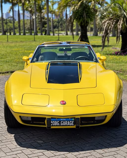 CHEVROLET CORVETTE STINGRAY - Imagem 8