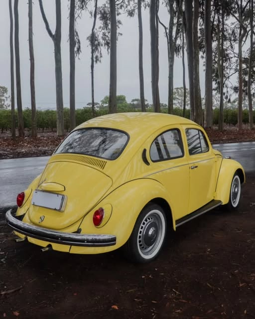 VOLKSWAGEN FUSCA - Imagem 2