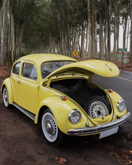 VOLKSWAGEN FUSCA - Imagem 3