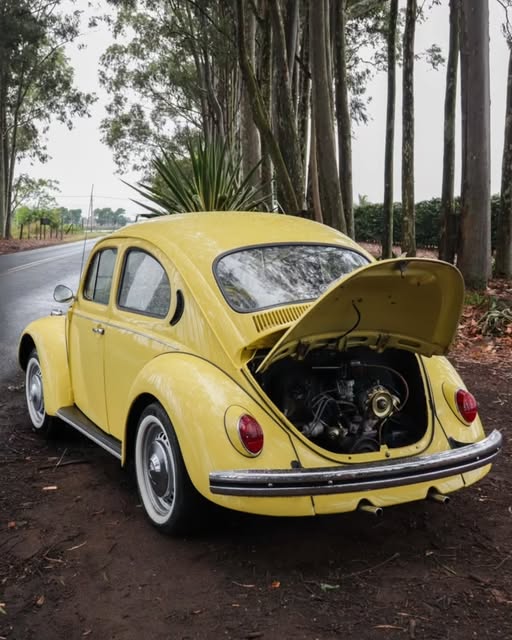 VOLKSWAGEN FUSCA - Imagem 9