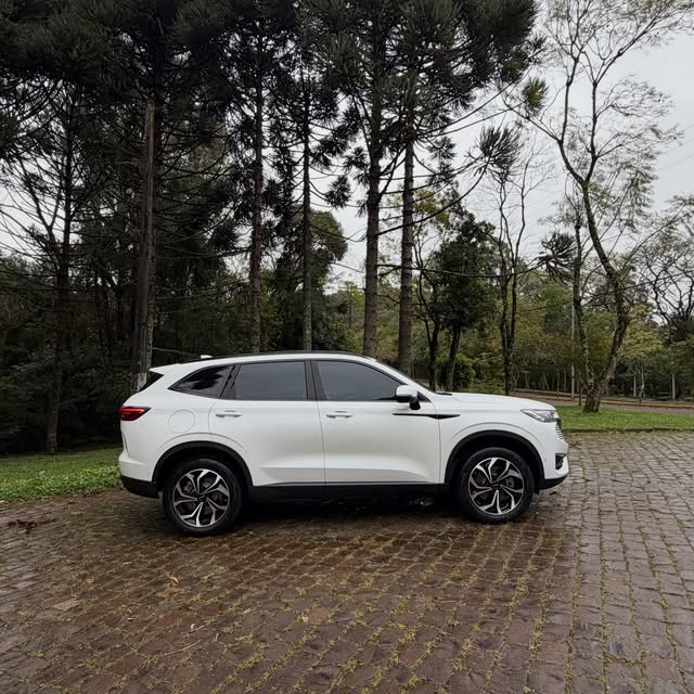 HAVAL H6 PHEV 34 1.5 AWD HÍBRIDO - Imagem 3