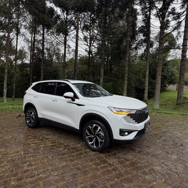 HAVAL H6 PHEV 34 1.5 AWD HÍBRIDO - Imagem 10